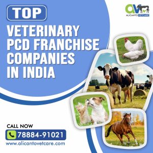 Top Veterinary PCD Franchise Companies in India