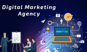 Affordable Digital Marketing Services in the USA