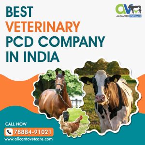 Best Veterinary PCD Company in-India